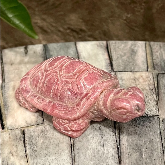 Rhodonite Turtle